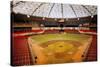 Astrodome Stadium-null-Stretched Canvas