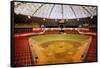 Astrodome Stadium-null-Framed Stretched Canvas