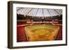 Astrodome Stadium-null-Framed Photographic Print