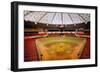 Astrodome Stadium-null-Framed Photographic Print