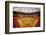 Astrodome Stadium-null-Framed Photographic Print