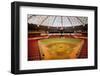 Astrodome Stadium-null-Framed Photographic Print