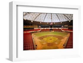 Astrodome Stadium-null-Framed Photographic Print