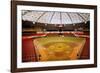 Astrodome Stadium-null-Framed Photographic Print