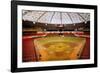 Astrodome Stadium-null-Framed Photographic Print