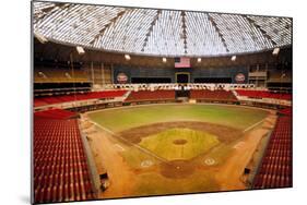 Astrodome Stadium-null-Mounted Photographic Print