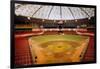 Astrodome Stadium-null-Framed Photographic Print