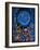 Astrologer 2-Bill Bell-Framed Giclee Print