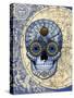 Astrologiskull-Fusion Idol Arts-Stretched Canvas