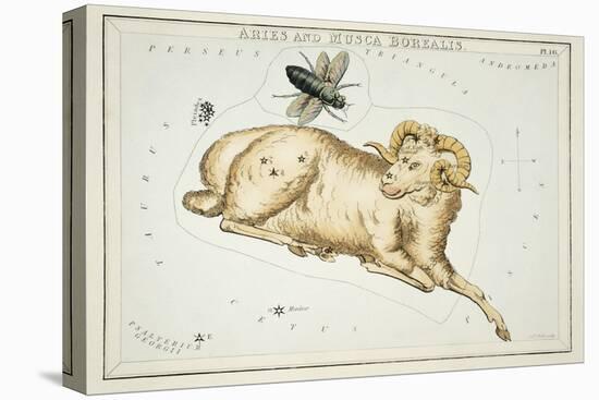 Astrology - Aries-Sidney Hall-Stretched Canvas