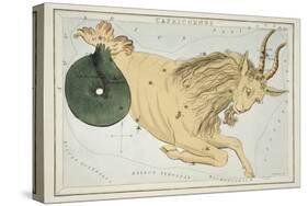 Astrology - Capricorn-Sidney Hall-Stretched Canvas