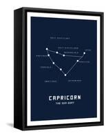 Astrology Chart Capricorn-null-Framed Stretched Canvas