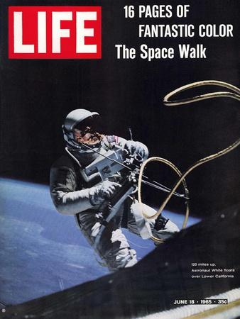 Gemini-Titan 4 Flight New 8x10 Photo Astronaut Ed White in Space Walk 1965