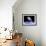 Astronaut Floating in Outer Space Above Planet Earth-null-Framed Art Print displayed on a wall