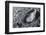 Astronaut Footprint on the Moon-Detlev Van Ravenswaay-Framed Photographic Print