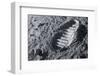 Astronaut Footprint on the Moon-Detlev Van Ravenswaay-Framed Photographic Print