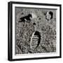 Astronaut Footprints on the Moon-Detlev Van Ravenswaay-Framed Photographic Print