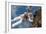 Astronaut Fuglesang Performing Spacewalk-null-Framed Photographic Print