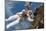 Astronaut Fuglesang Performing Spacewalk-null-Mounted Photographic Print