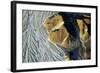 Astronaut, Nazca Lines in Peru-faberfoto-it-Framed Photographic Print