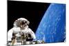 Astronaut Performing a Spacewalk-null-Mounted Premium Photographic Print