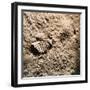 Astronaut's Footprint on the Moon-null-Framed Photographic Print