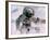 Astronaut Walking in Space-David Bases-Framed Photographic Print