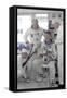 Astronaut Walter Schirra-null-Framed Stretched Canvas