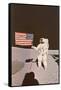 Astronaut with Flag on Moon-null-Framed Stretched Canvas