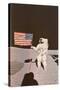 Astronaut with Flag on Moon-null-Stretched Canvas