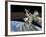 Astronauts Perform a Series of Tasks on the Exterior of the International Space Station-null-Framed Photographic Print