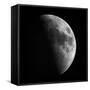 Astronomical Glass Plate Slide of the Moon in First Quarter (1899), 1899 (Glass Negative)-Unknown Artist-Framed Stretched Canvas