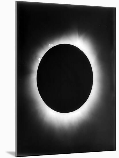 Astronomy, a Solar Eclipse, 1926-null-Mounted Photo