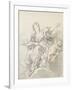 Astronomy; L'Astronomie-Francois Boucher-Framed Giclee Print