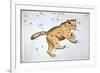 Astronomy: Ursa Major-Sidney Hall-Framed Giclee Print