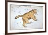 Astronomy: Ursa Major-Sidney Hall-Framed Giclee Print