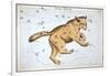 Astronomy: Ursa Major-Sidney Hall-Framed Giclee Print