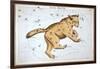 Astronomy: Ursa Major-Sidney Hall-Framed Giclee Print