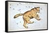 Astronomy: Ursa Major-Sidney Hall-Framed Stretched Canvas