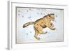 Astronomy: Ursa Major-Sidney Hall-Framed Giclee Print