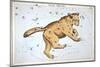 Astronomy: Ursa Major-Sidney Hall-Mounted Giclee Print