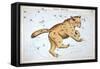 Astronomy: Ursa Major-Sidney Hall-Framed Stretched Canvas