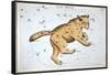 Astronomy: Ursa Major-Sidney Hall-Framed Stretched Canvas