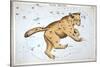 Astronomy: Ursa Major-Sidney Hall-Stretched Canvas