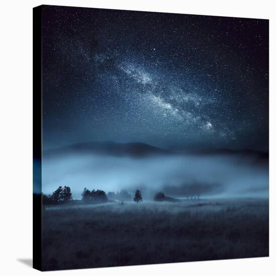 Astrophotography, Milky Way, Scotland-Galyaivanova-Stretched Canvas