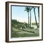 Aswan (Egypt), the First Cataract-Leon, Levy et Fils-Framed Photographic Print