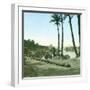 Aswan (Egypt), the First Cataract-Leon, Levy et Fils-Framed Photographic Print