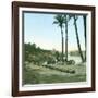 Aswan (Egypt), the First Cataract-Leon, Levy et Fils-Framed Photographic Print