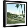 Aswan (Egypt), the First Cataract-Leon, Levy et Fils-Framed Photographic Print