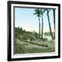 Aswan (Egypt), the First Cataract-Leon, Levy et Fils-Framed Photographic Print